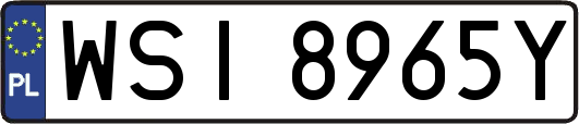 WSI8965Y