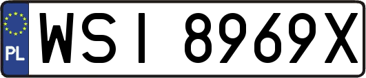 WSI8969X
