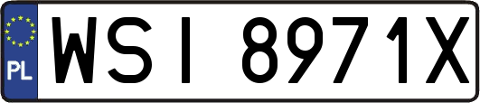 WSI8971X
