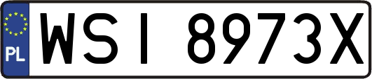 WSI8973X