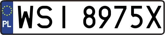 WSI8975X