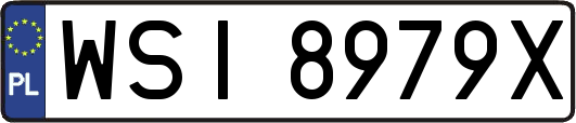 WSI8979X