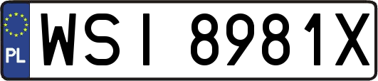 WSI8981X