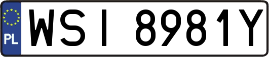 WSI8981Y