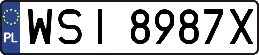 WSI8987X