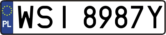 WSI8987Y