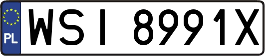 WSI8991X
