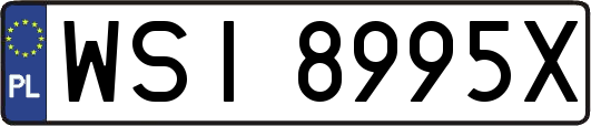 WSI8995X