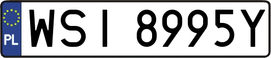 WSI8995Y