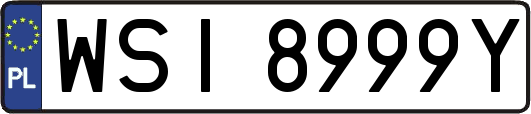 WSI8999Y