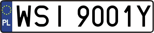 WSI9001Y