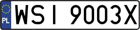 WSI9003X
