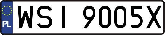 WSI9005X