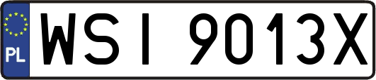 WSI9013X