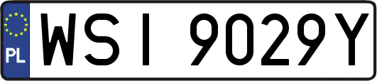 WSI9029Y