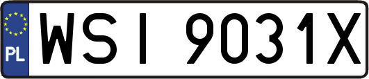 WSI9031X