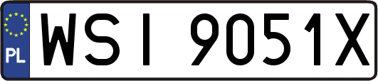 WSI9051X
