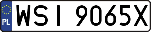 WSI9065X