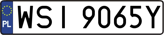 WSI9065Y