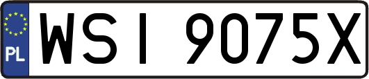 WSI9075X