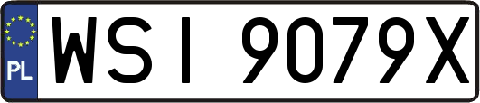 WSI9079X