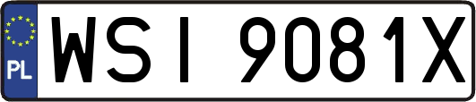 WSI9081X