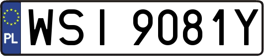 WSI9081Y