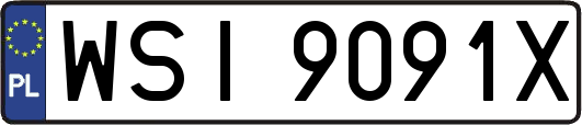 WSI9091X