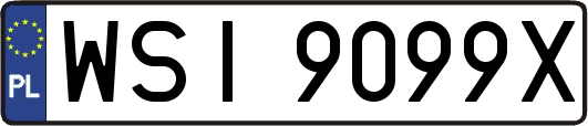WSI9099X