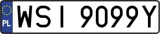 WSI9099Y