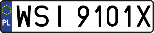 WSI9101X