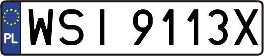 WSI9113X