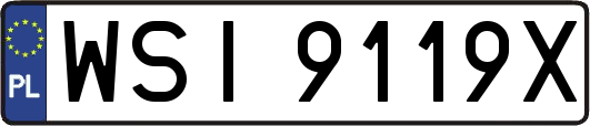 WSI9119X