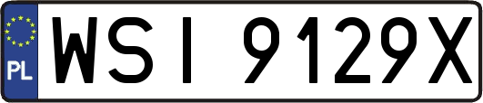 WSI9129X