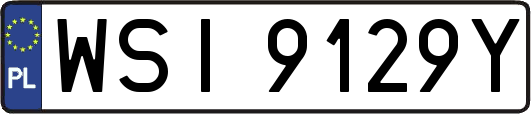 WSI9129Y