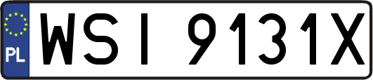 WSI9131X