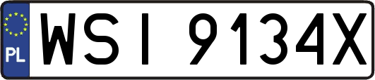 WSI9134X