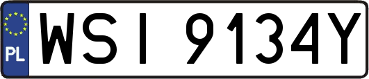 WSI9134Y