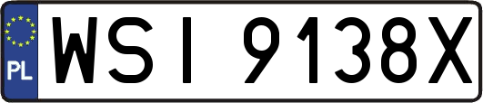 WSI9138X