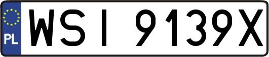 WSI9139X