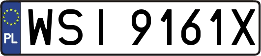 WSI9161X