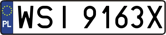 WSI9163X