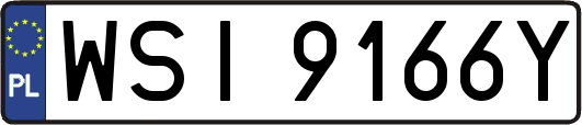 WSI9166Y
