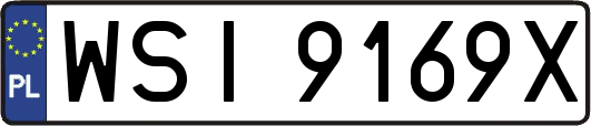 WSI9169X