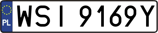 WSI9169Y