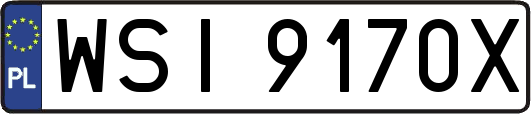 WSI9170X