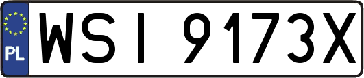WSI9173X
