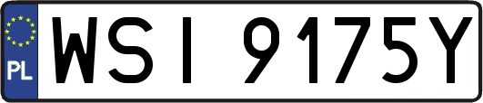 WSI9175Y