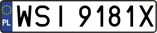 WSI9181X