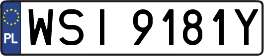 WSI9181Y